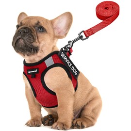 FAYOGOO Chaleco de servicio para perros pequeños, arnés ligero para perro con 6 parches extraíbles, arnés para cachorro y juego de correa para caminar, entrenar