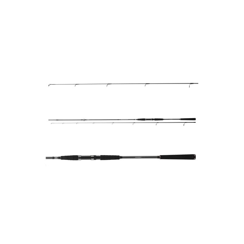 DAIWA Seahunter X Sea Trout 1022ML, 2 Pieces, 3.10 m,