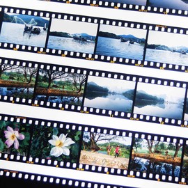 MUQING 100 Sheets 135 35mm Negative Page Preservers, 35mm Film Holder, Photo and Archival Storage Sleeves