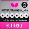 Butterfly 95840 Table Tennis Balls, Training Balls, 40+ White, 10
