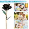 Long Stem Dipped 24k Gold Trim Red Rose In Gold