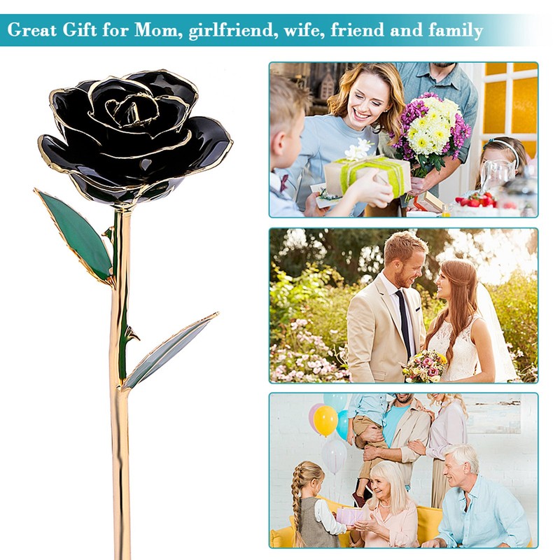 Long Stem Dipped 24k Gold Trim Red Rose In Gold