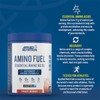 Applied Nutrition Amino Fuel EAA