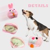 Interactive Dog Toy, Easter Dog Toy, Interactive Play Ball for