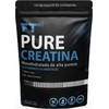 ForzaTech Creatina Monohidratada Micronizada 500g Alta Pureza