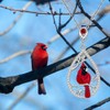 Cardinal Necklace for Women 925 Sterling Silver Red Cardinal Pendant