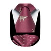 HISDERN Men's Ties Wedding Animal Pattern Handkerchief Classic Business Tie
