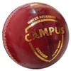 SG Campus Four Piece Leather Cricket Ball - red