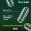 Berberina 90 Cápsulas De 500 Mg Flow