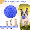 DISSKNIC DISSKNIC Indestructible Squeaky Dog Ball, Relieves Anxiety, Cleans Teeth,