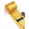 HISDERN Yellow Ties for Men Polka Dot Wedding Tie Handkerchief