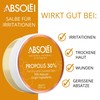 Absolei Propolis Ointment, Natural Ointment for Skin Irritations, Dry and