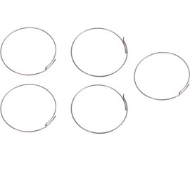 Fulcrum RF1134867 Pawl Spring Set for Freehub Bodies