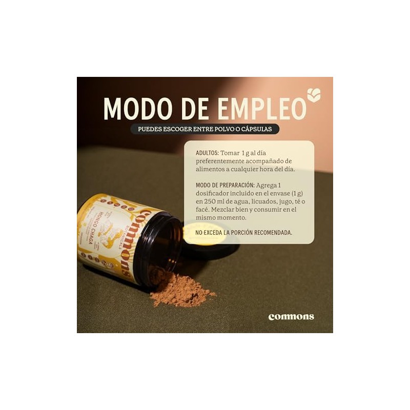 COMMONS Hongos Adaptógenos Hongo Chaga Extracto Puro en Polvo