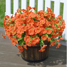 Artificial Flowers for Outdoor Spring Summer Decoration Fake Plastic Flower Plant, Faux Colorful Silk Morning Glory Eucalyptus Greenery Shrubs for Outside Garden Porch Front Door Decor Orange 8 Pack