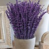 Oning Dried Purple Lavender Flowers Bundle-Dried Preserved Lavender Bouquet 8-12"