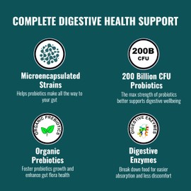 UpNourish Probiotics - 200 Billion CFUs for Men and Women, 15 Clinically Studied Strains, Prebiotics & Enzymes - 60 Vegan Capsules