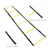 Speed Ladder for Football Footwork Training Exercising Equipment with Storage