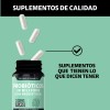 Probioticos Billion Ufc Prebióticos Prebiotic Inulina Agave Cepas Microencapsulación Capas