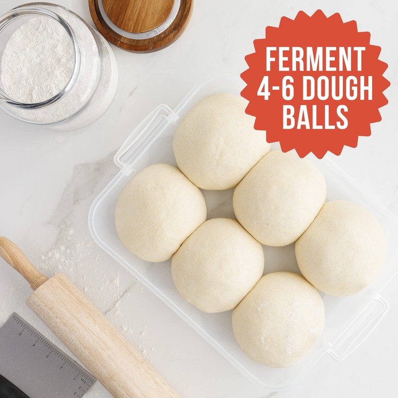 Chef Pomodoro Pizza Dough Proofing Box, 14 x 11-Inch, Pizza