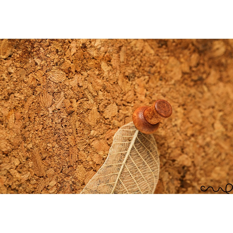 redchocol8® Wooden Push Pins (A Pack of 25 pins) Natural