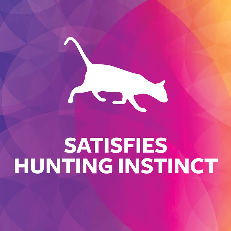 SmartyKat Instincts HappyNip Zingy Zebra Feathered Toss & Chase Interactive