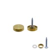 Rannb Decorative Mirror Screw, Gold Cap, 0.75" Cap Dia, 12pcs