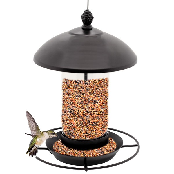 Squirrel-Proof Metal Bird Feeder for Outdoor - Chew-Resistant Hanging Feeder