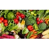 FRONTIER SEED CO. USA Survival Heirloom Seed Bank 6 varieties