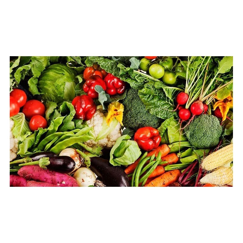 FRONTIER SEED CO. USA Survival Heirloom Seed Bank 6 varieties