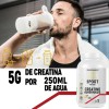 Creatina Monohidratada Mx Sport 1kg 200 Servicios Sabores Naranja