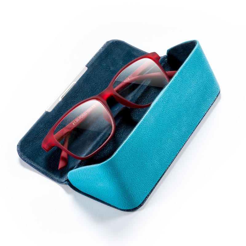 Fefi Stylish Unusual Shape Glasses Case – Hard Case -