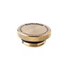 Definitely Tank Cap (Days) Brass