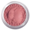 Lure Minerals Foundation Loose Powder 8g Sifter Jar- Choose Color,free