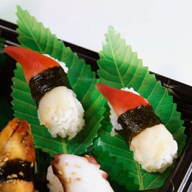 Ciieeo Decorative Sushi Leaf Sushi Grass Divider Green Leaves Sushi Plate Decorations Japanese Food Mat Banana Leaves Placemat Sushi Making Supplies 200pcs