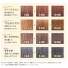 Sastty Rishiri Color Shampoo (Light Brown), Large Capacity, 16.9 fl