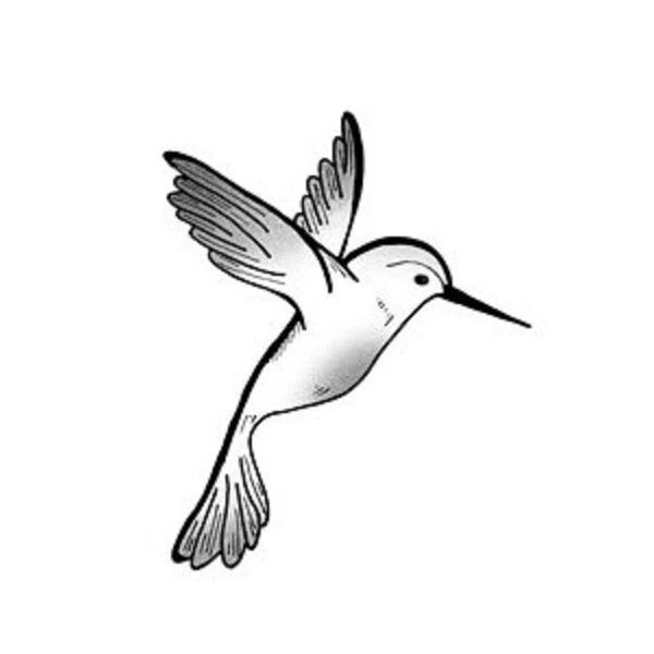 Unbranded temporary tattoo - Set of two wrist size Bird