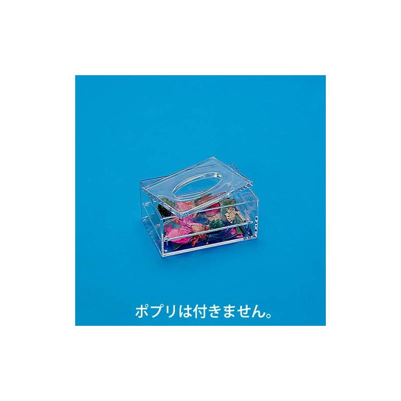 Butterfly Plastic Tissue Case