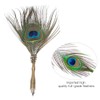 Vikye Peacock Feather Dip Pen with Writing Ink Retro Calligraphy