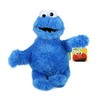 Sesame Street Cookie Monster Plush Toy 30 cm