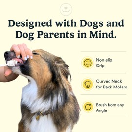 Jasper Macrobrush 360º, Dog Toothbrush for Medium to Large Dogs, Soft-Bristled Dog Tooth Brushing Kit - Premium Non-Slip Handle with 2 Replaceable Tooth Brush Heads, Use with Dog Toothpaste