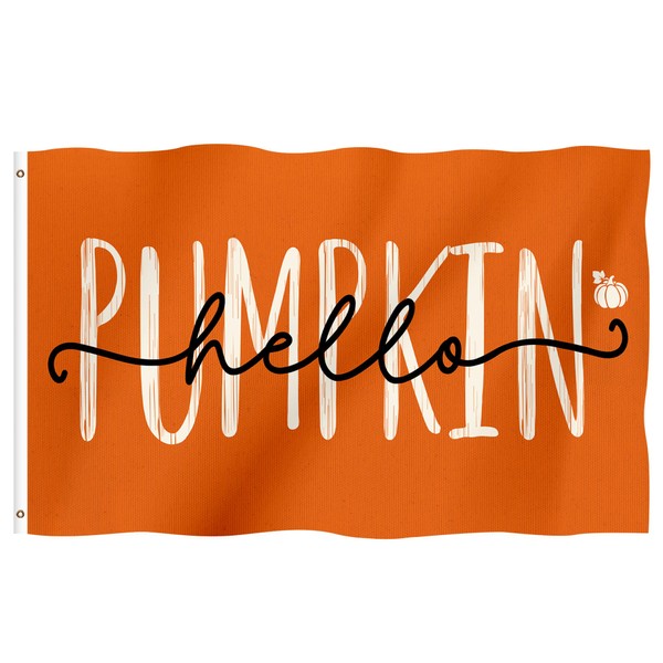 Fall Hello Pumpkin Garden Flag 3x5 Ft Double Sided 3