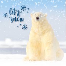 Emotional Rescue Christmas Cards Multi-pack, 12 Multi-pack Christmas Cards, 4 Different Designs, Pack of 12 Multi-pack Christmas Card, Animal Christmas Card Multi-pack, Christmas Cards Pack