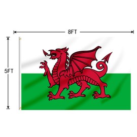 FLAGBURG Welsh Flag 8ft x5ft 150x240cm Wales Dragon Flag with Eyelets Canvas Big Welsh Flag Extra Large Welsh Flag for Outdoors and Indoors
