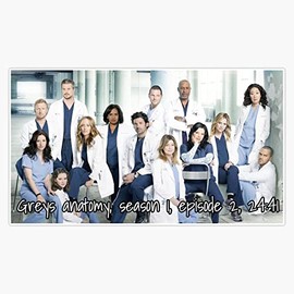 Magnet Grey Anatomy Famous Quote Magnetic Vinyl Sticker 5"