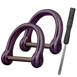 2PCS Small Titanium Key Ring with Screw Shackle- Heavy Duty D Shape Horseshoe Clasp Keys Holder- Mini Titanium D Rings for Auto Key Fob Tool - Anti-Lost Car Key Chain Ring -1/2 Inch/12mm (Purple)