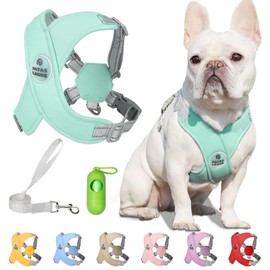 Patas Lague Dog Harness with Leash Adjustable Soft Padded Step-in Dog Vest No Choke No Pull Reflective for Small Medium Dogs with Poop Bags and Dispenser, Solid and No-chew, Green S