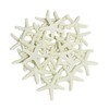 LJY 25 Pieces 6cm Beige Resin Pencil Finger Starfish for