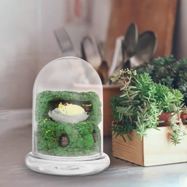 Angoily Decorative Glass Display Dome Cloche- 6in Height Clear Cloche Dome for Plants with Base- Transparent Glass Cloche Bell Jar for Display Plants Sculpture Figure Candles