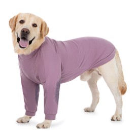 Dog Recovery Suit for Front Legs, Stretchy Fleece Dog Recovery Suit Prevent Licking Elbow Leg Wounds Cone Alternative,Soft Dog Front Leg Surgery Recovery Shirt (Jelly Purple, 3X-Large)